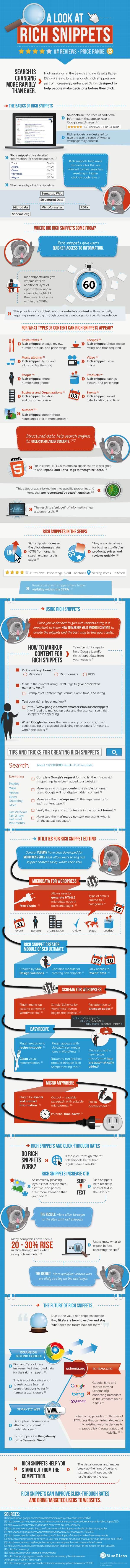 Rich Snippets Guide Infographic